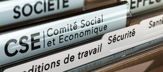 Comité social et économique