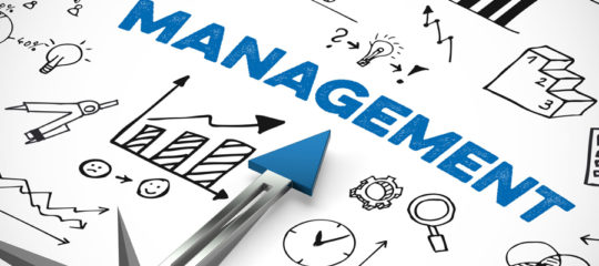 management