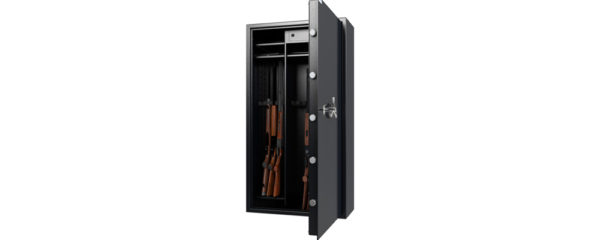 armoire à fusil