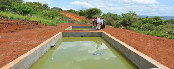gestion des boues