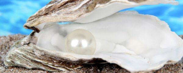 perles de culture