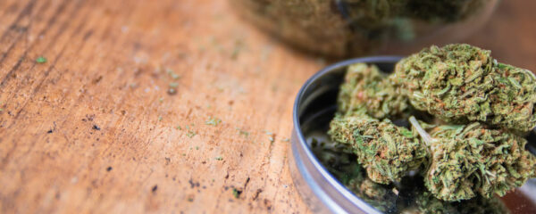 Mango Kush