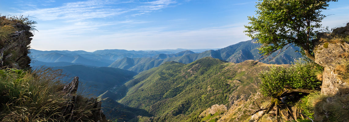 Cévennes